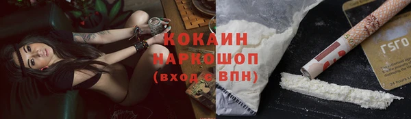 ешки Новозыбков