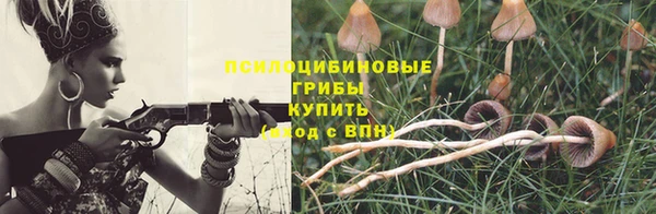 кокаин Новодвинск