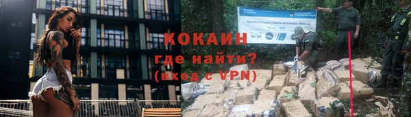 ешки Новозыбков