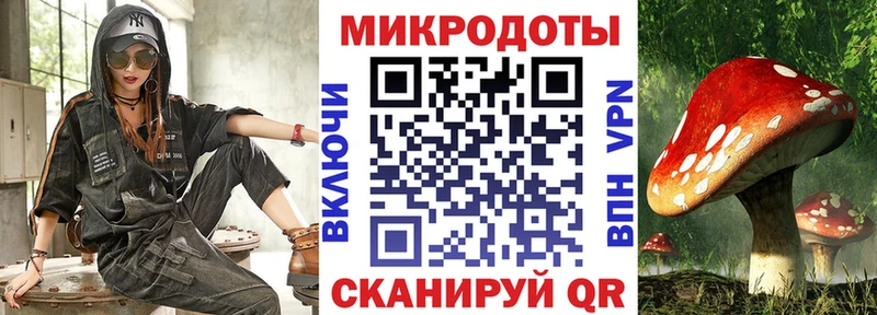 Купить закладки  Киржач  Псилоцибиновые грибы мицелий 